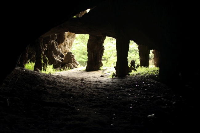 IMG_7358 IMG_7358