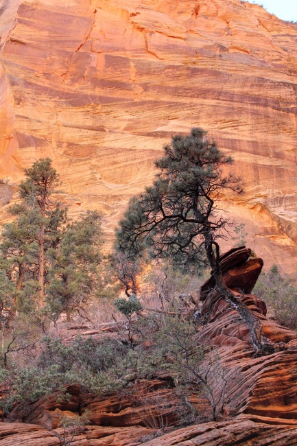 img_4530_1-img_4530_2