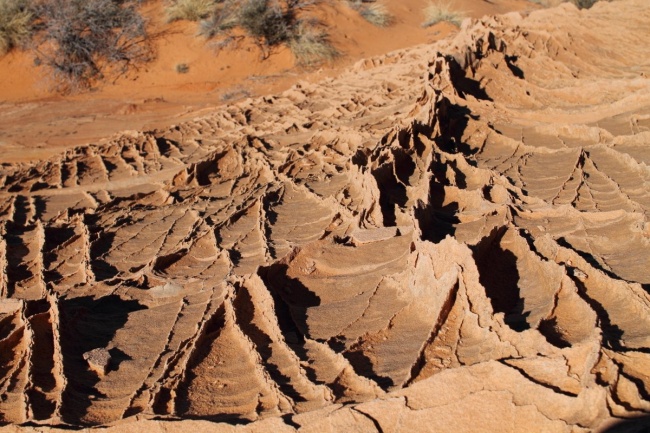 IMG_4901