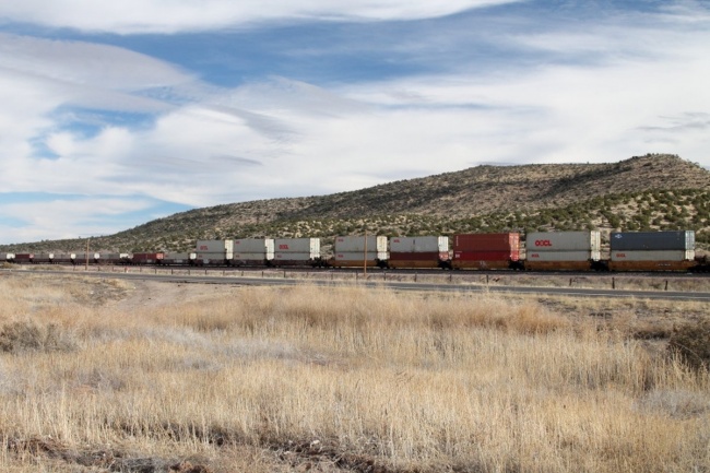 IMG_5251