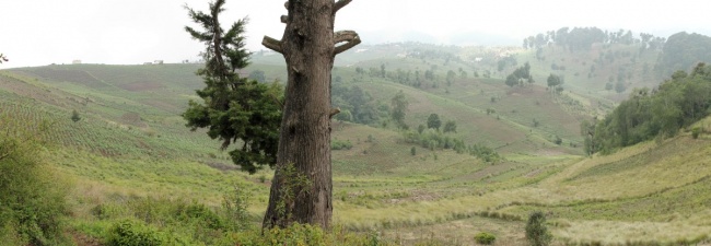IMG_7967 - IMG_7970
